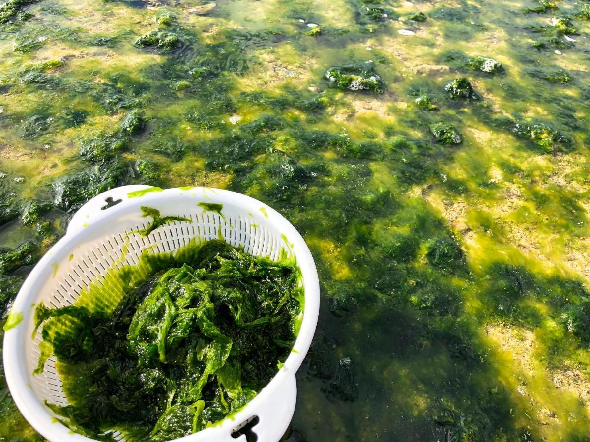 Ishigaki  伊莱约日式旅馆酒店 外观 照片